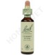 Bach Flower Remedies for Animals - Cherry Plum